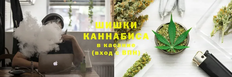 Бошки Шишки OG Kush  мега ССЫЛКА  Нестеровская 